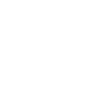 Plumeria Floral